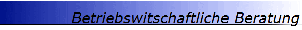 Betriebswitschaftliche Beratung